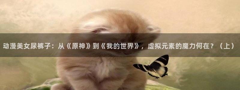 动漫屋下载最新版本