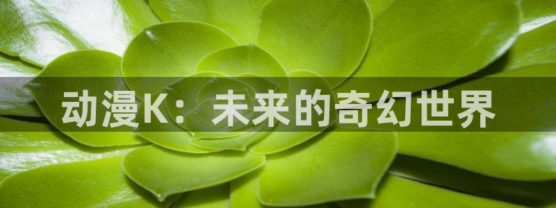 动漫屋下载免费：动漫K：未来的奇幻世界